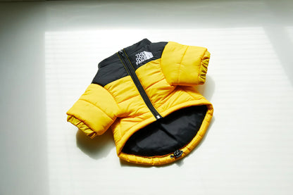 🧥🐾 Fashion Warm Waterproof Dog Padded Jacket – Stylish Winter Raincoat for Pets