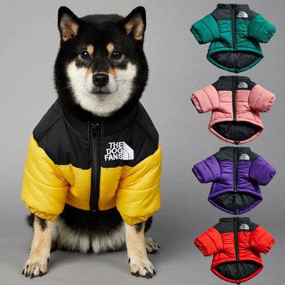 🧥🐾 Fashion Warm Waterproof Dog Padded Jacket – Stylish Winter Raincoat for Pets