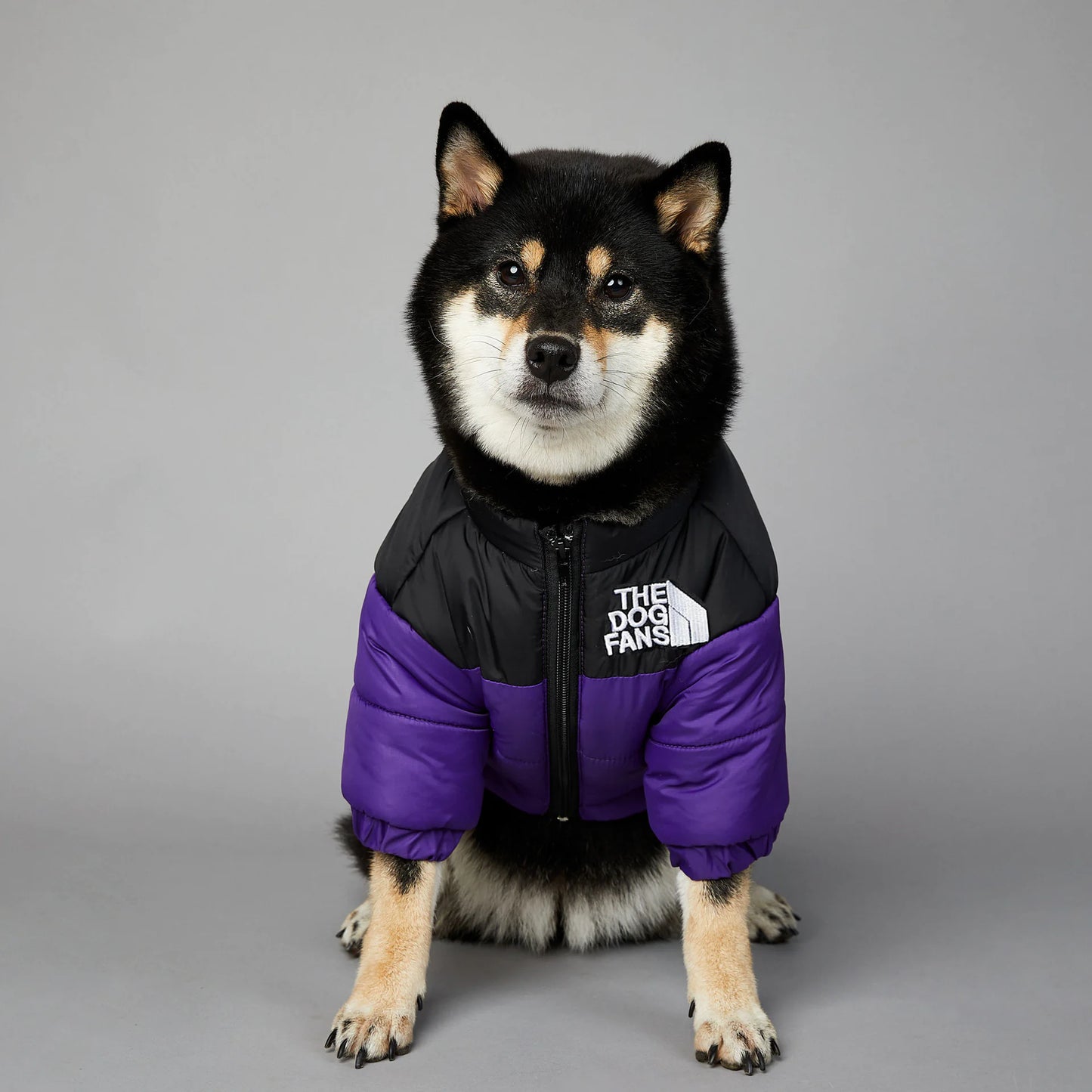 🧥🐾 Fashion Warm Waterproof Dog Padded Jacket – Stylish Winter Raincoat for Pets
