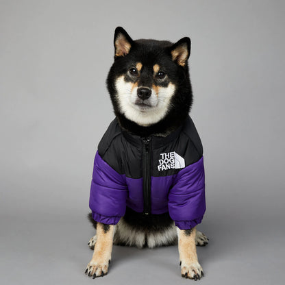 🧥🐾 Fashion Warm Waterproof Dog Padded Jacket – Stylish Winter Raincoat for Pets