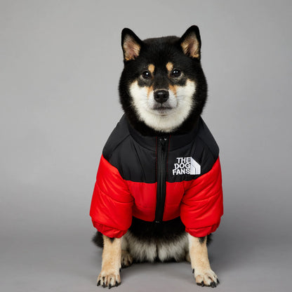 🧥🐾 Fashion Warm Waterproof Dog Padded Jacket – Stylish Winter Raincoat for Pets