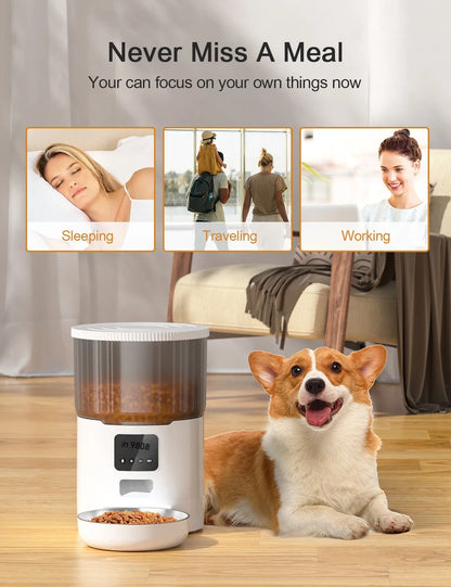 Smart Automatic Pet Feeder 🐾 | Programmable Food Dispenser for Cats & Dogs
